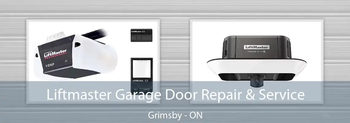 Liftmaster Garage Door Repair & Service Grimsby - ON